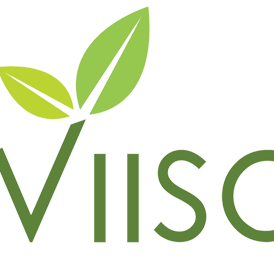 Viisa 20logo 20small