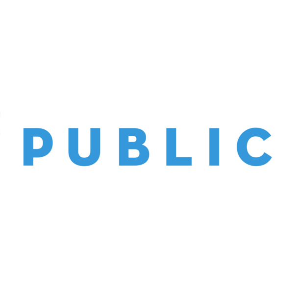 Public logo blue on white bar 20 1