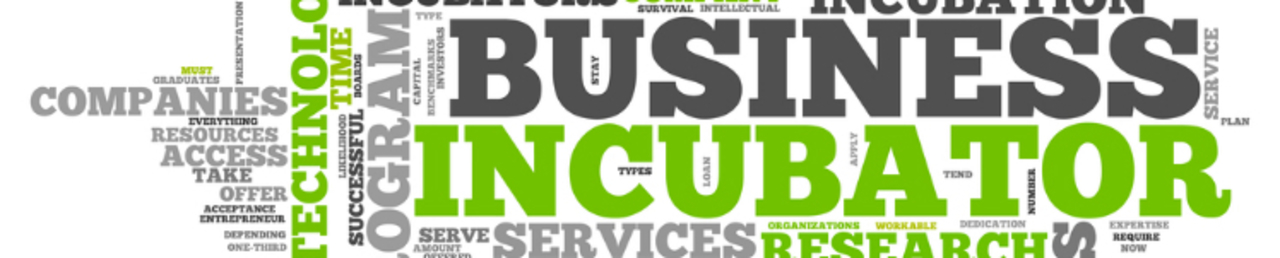 Business incubator media