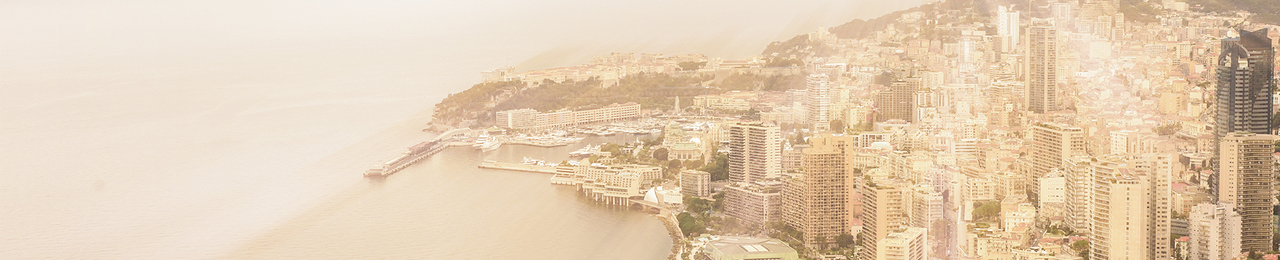 Monacotech 20acc mod1