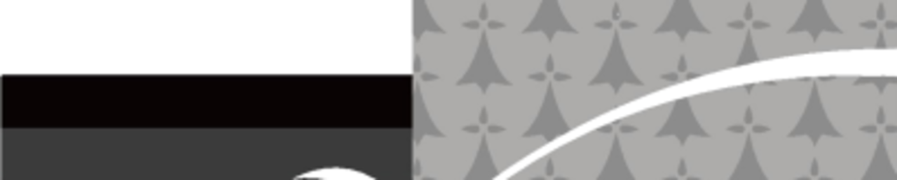 Logobreizhangels0