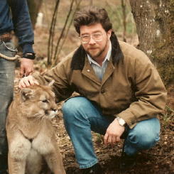 Dwcougar
