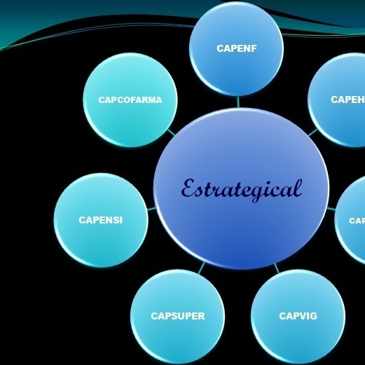Cart c3 a3o 20estrategical 20verso