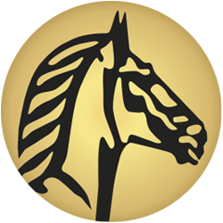 Suissebank pferd google 2b250x250px