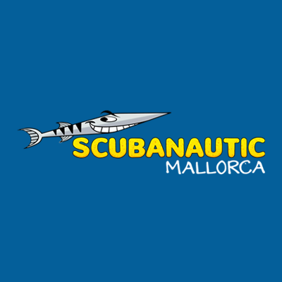 Logo 20 2