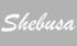 Micro logo
