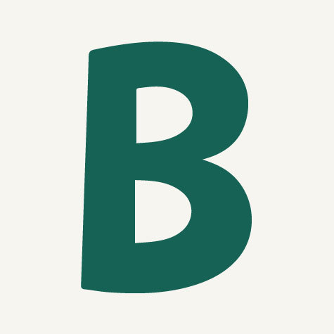Binbreeze b icon