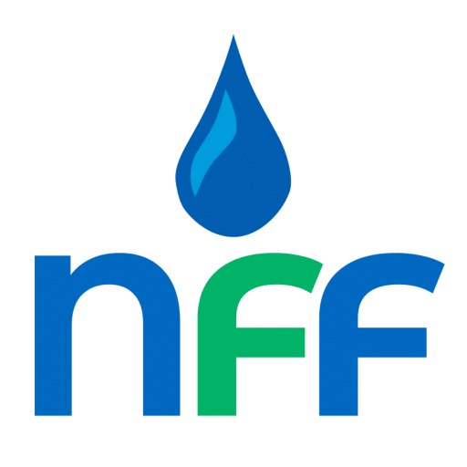 Nff v2