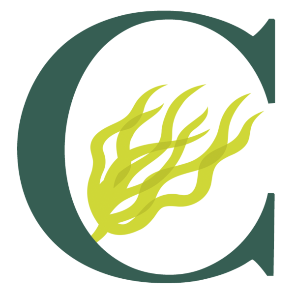 Csc icon