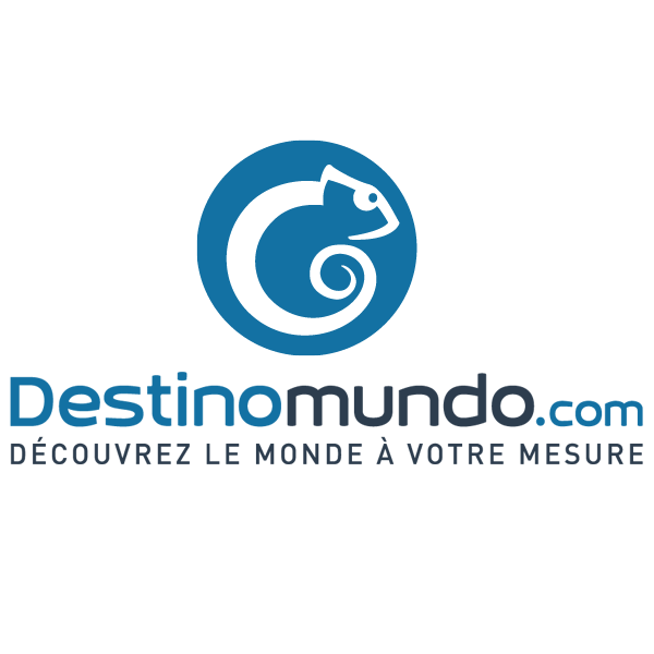 Logo destino carre