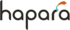 Micro logo
