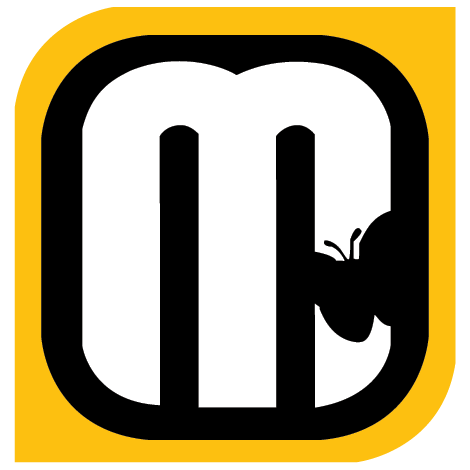 Logo mcflyy 2014 target
