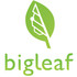 Micro bigleaf 20logo 20 20square 20no 20network