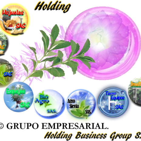 Grupo 20empresarial 20 20holding