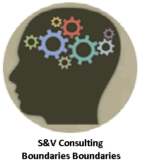 S\u0026V Consulting | Barcelona, Spain Startup