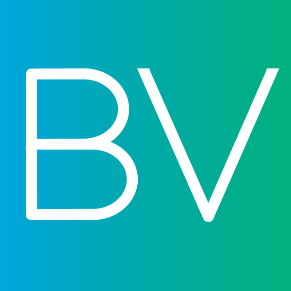 Brandverge 20icon 20logo 20square 20color