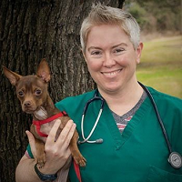Stephanie murphree dvm sq 20200