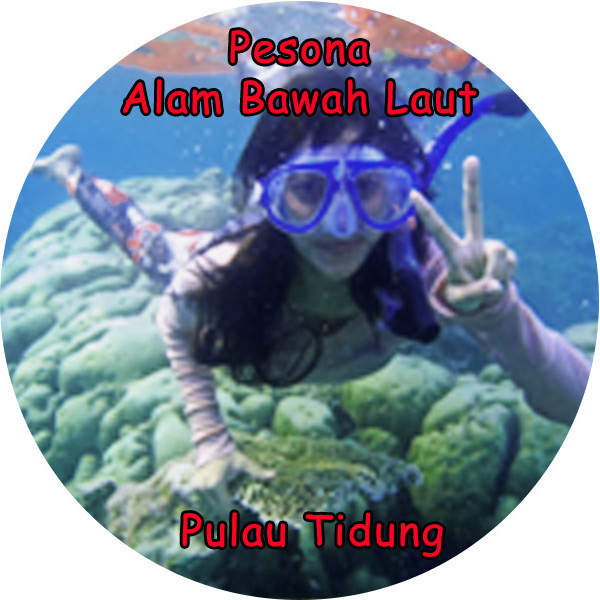 Sorkling 20di 20pulau 20tidung 202