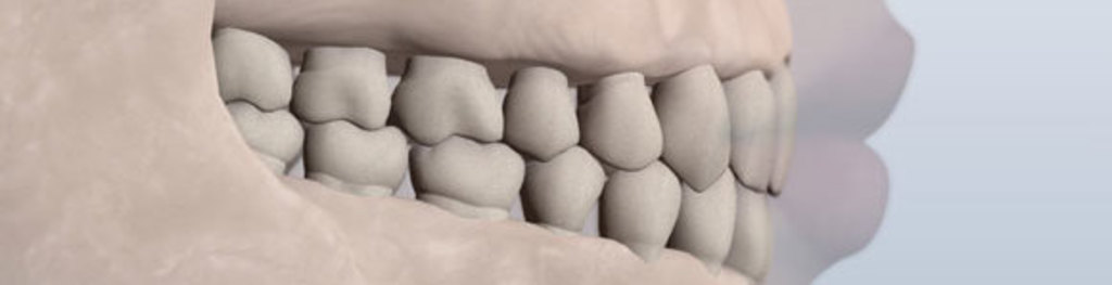 Vineland Dentist - South Jersey Pediatric Dental LLC | Vineland, NJ