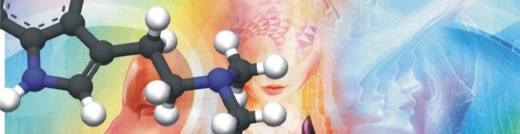 Ibogaine 20and 205 meo dmt 20therapy.