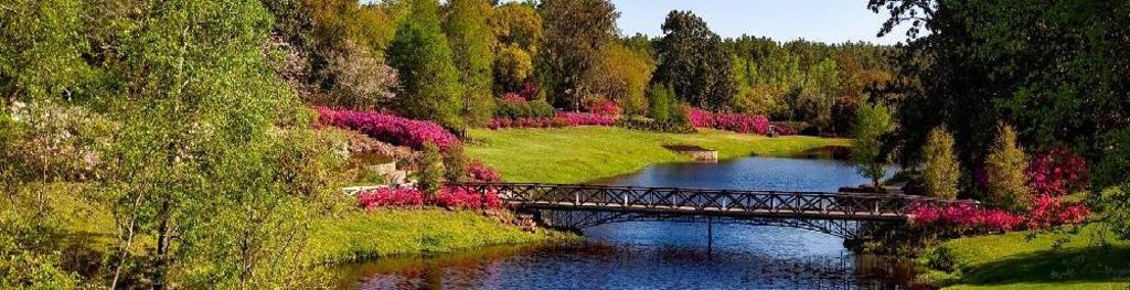 Certified public accountant danville california 4115 blackhawk plaza cir danville ca united states 28