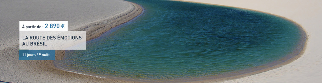 Cover pic t