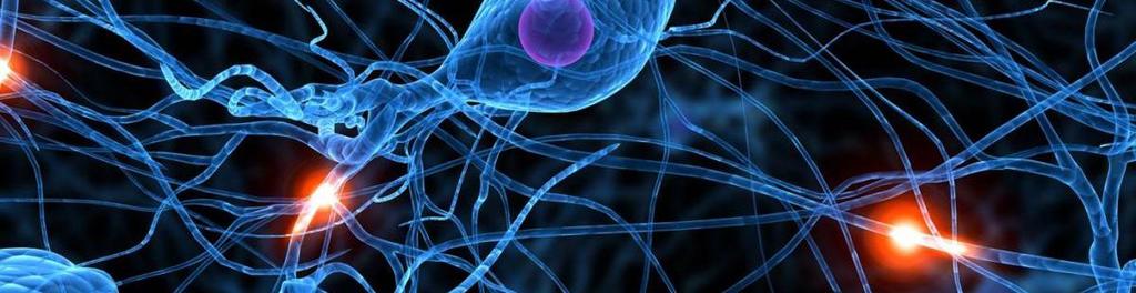 Active 20neuron 20 117233961
