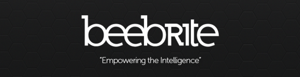 Beebrite linkedin