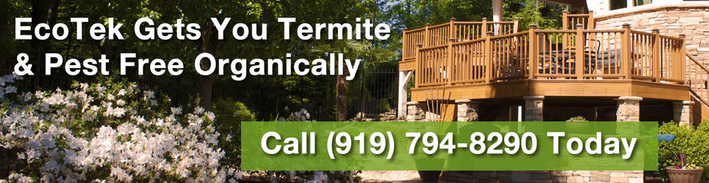 Ecotek termite pest control durham nc