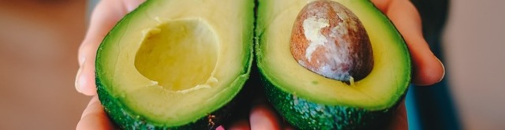Avocado 2115922 640