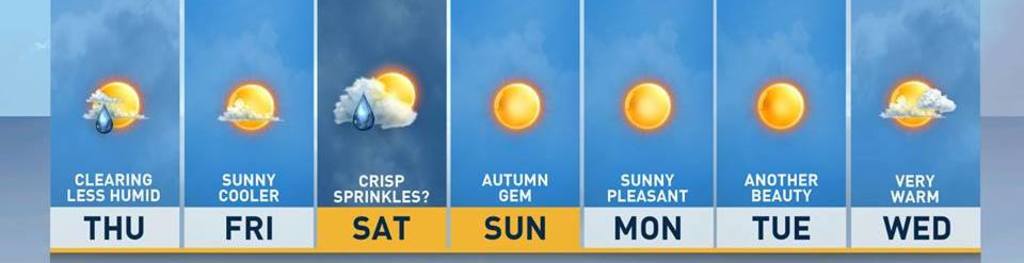 Weather Updates | Delhi, India Startup