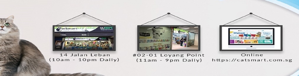 catsmart leban