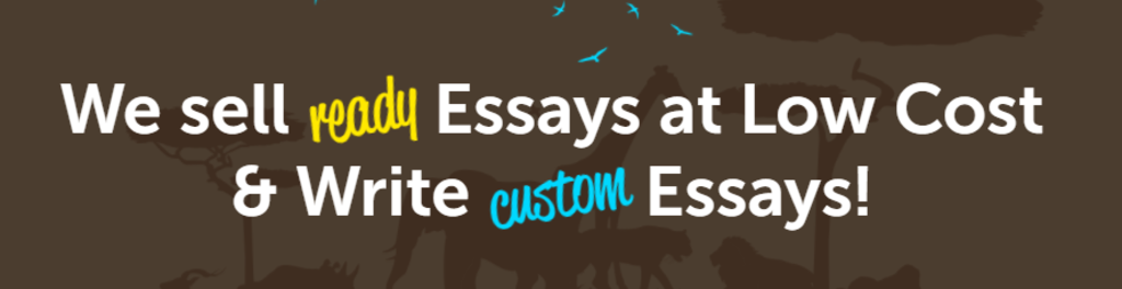 Essayzoo