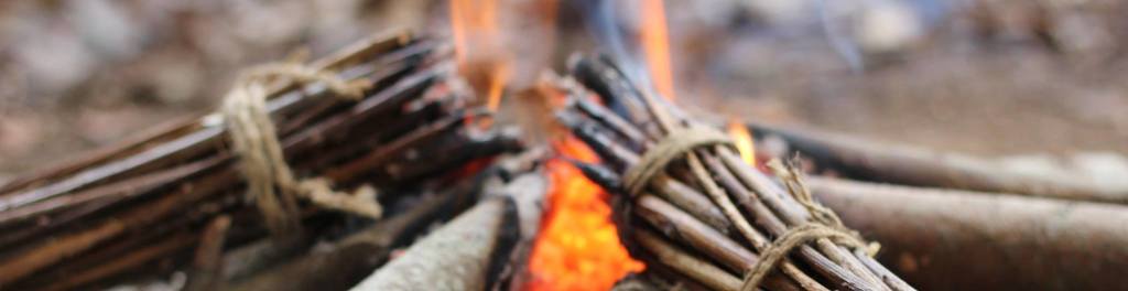 Thesurvivallife banner